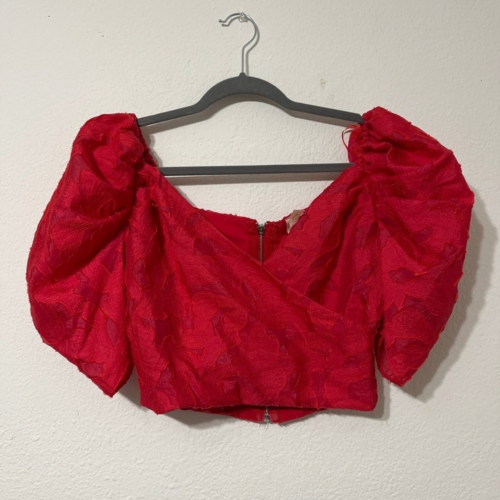 Pink Owl Red Floral Jacquard Puff Sleeve Crop Top Cottagecore Romantic Size S